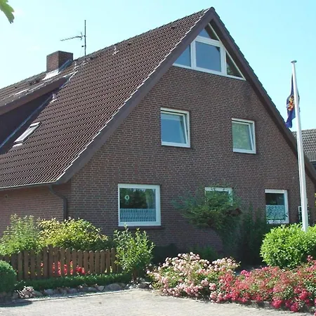 Heringsmoewe In Neue Tiefe Fehmarn