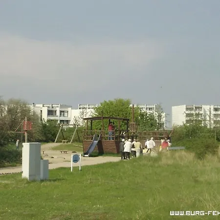 Heringsmoewe In Neue Tiefe Apartment