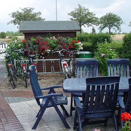 Heringsmoewe In Neue Tiefe Fehmarn