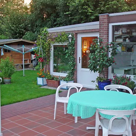 Heringsmoewe In Neue Tiefe * Fehmarn